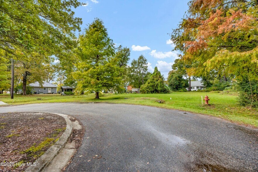 More Photos Of 205 Nancy St, Lake Waccamaw Land For Sale