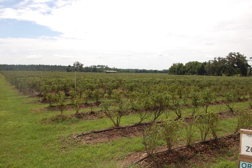 More Photos Of 18811 SE 243rd St, Hawthorne Specialty For Sale