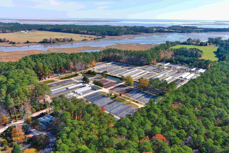 More Photos Of 22511 Rose Cottage Rd, Locustville Specialty For Sale