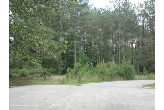 More Photos Of 600 Pony Rd, Zebulon Land For Sale