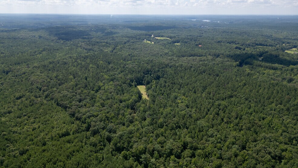 More Photos Of 17796 Dry Branch loop, Northport Land For Sale