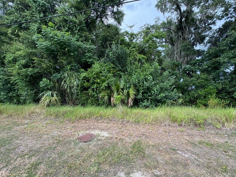 More Photos Of NW Martin Luther King Ave, Ocala Land For Sale