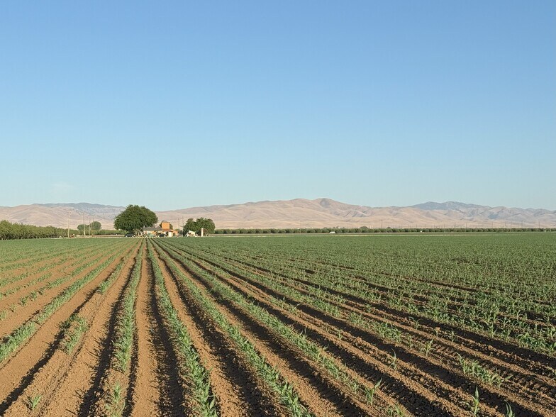 More Photos Of 19054 CA-33, Crows Landing Land For Sale