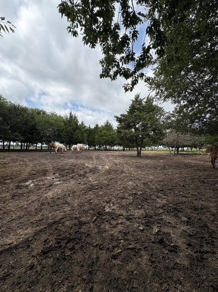 More Photos Of TBD Palmyra Road, Palmer Land For Sale