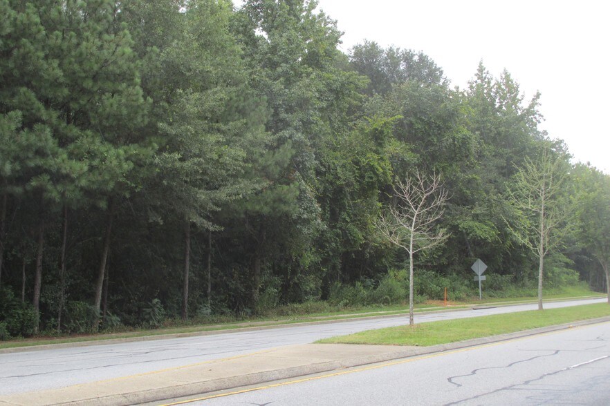 More Photos Of 2400 Henry Clower Blvd, Snellville Land For Sale