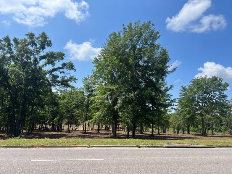 More Photos Of 9723 Airport Blvd, Mobile Land For Sale