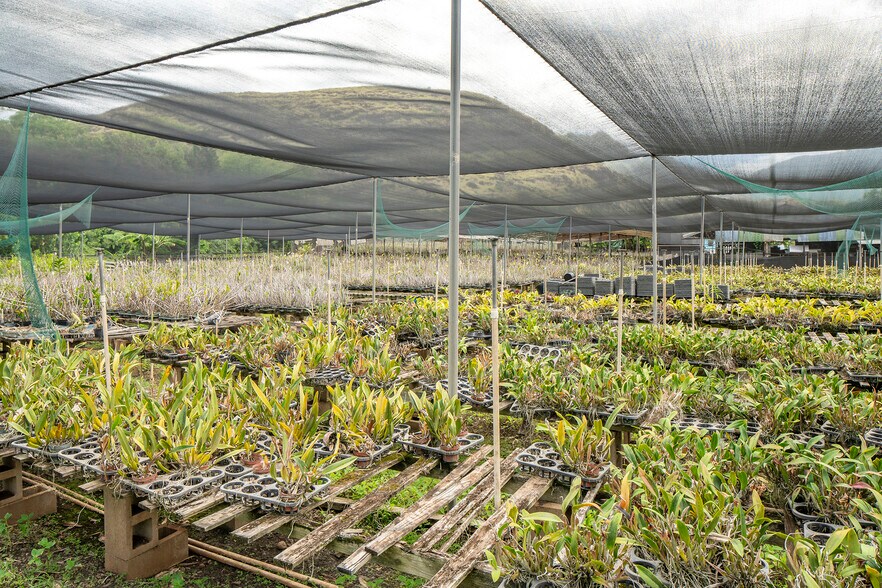 More Photos Of 86-347 Halona Rd, Waianae Contractor Storage Yard For Sale