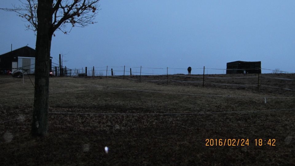 More Photos Of 1777 Lamb Rd, Thompson Specialty For Sale