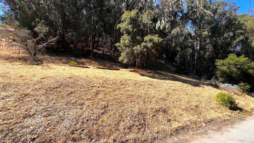 More Photos Of 00 Lupine Lane, Santa Cruz Land For Sale