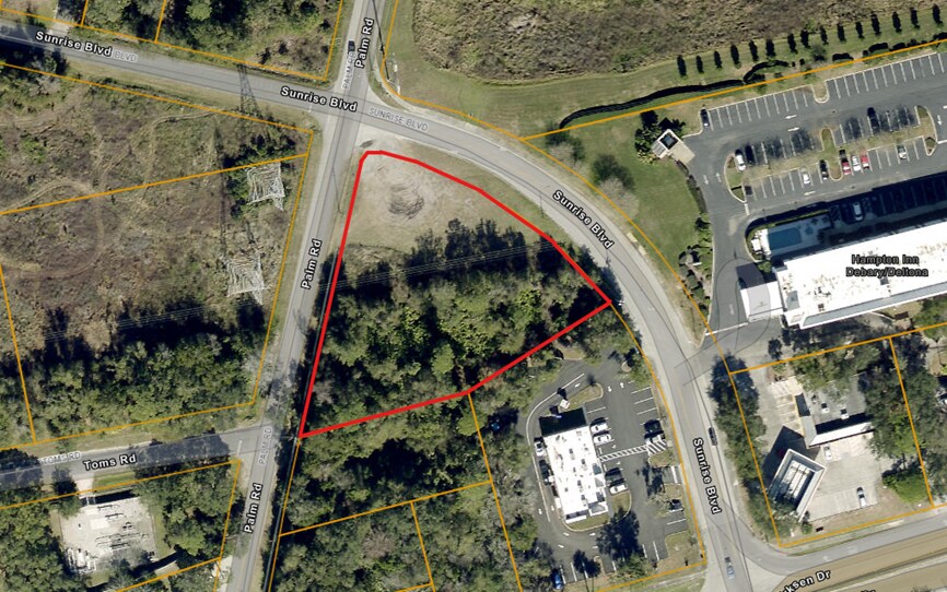 Primary Photo Of Palm Rd & Sunrise Blvd, Debary Land For Sale