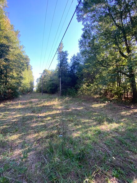 More Photos Of 00 Memory, Anderson Land For Sale