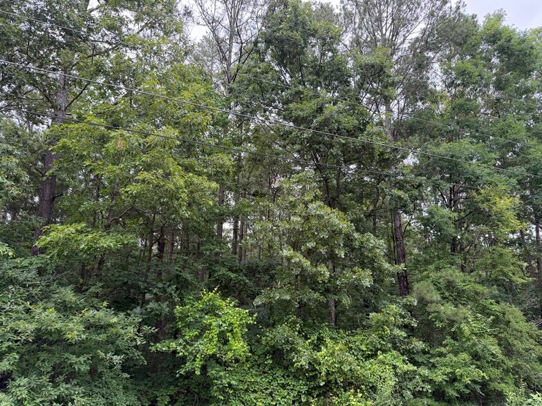 More Photos Of Cowan Drive Dr, Cartersville Land For Sale