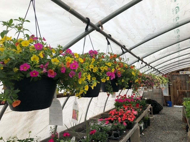 More Photos Of 398 W Main St, Groton General Retail For Sale