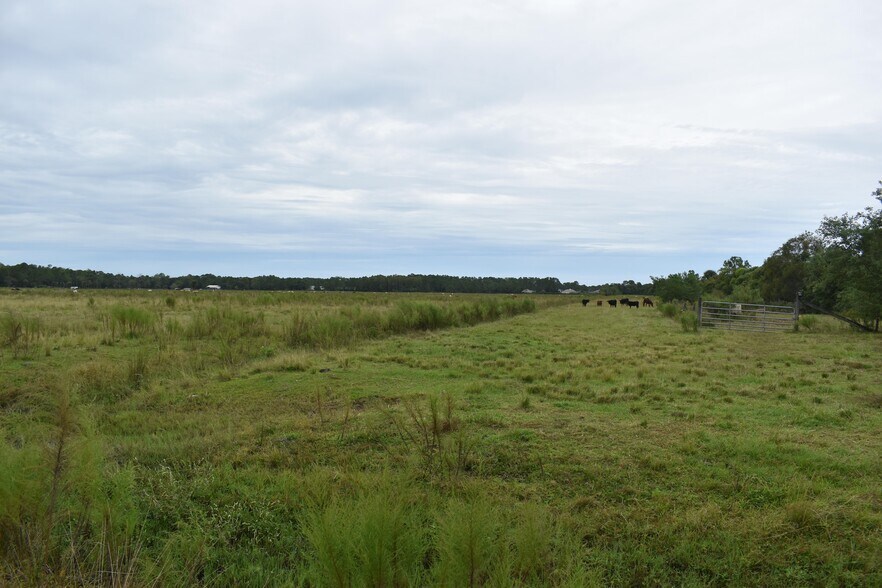 More Photos Of 2800 Tomoka Farms rd, Port Orange Land For Sale