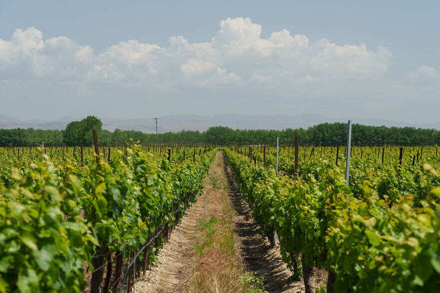 More Photos Of 41460 Los Coches Rd, Soledad Land For Sale