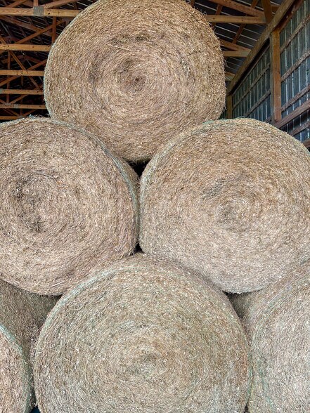 More Photos Of 14720 40th St, Live Oak Land For Sale