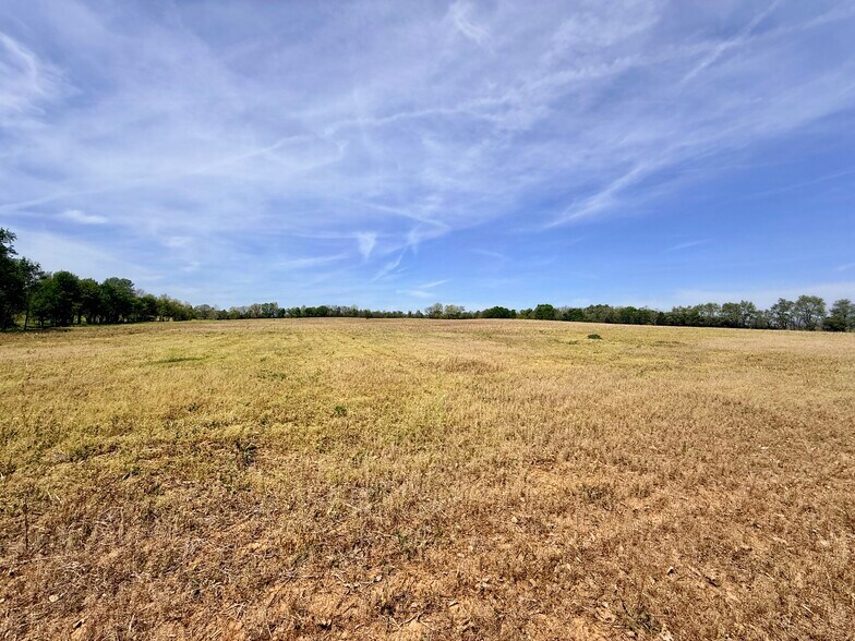 More Photos Of 4132 KY Highway 36 W, Cynthiana Land For Sale