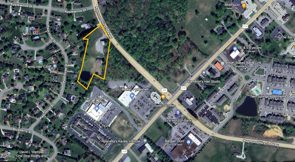 Primary Photo Of 232 Raymond Hirsch Pky, White House Land For Sale