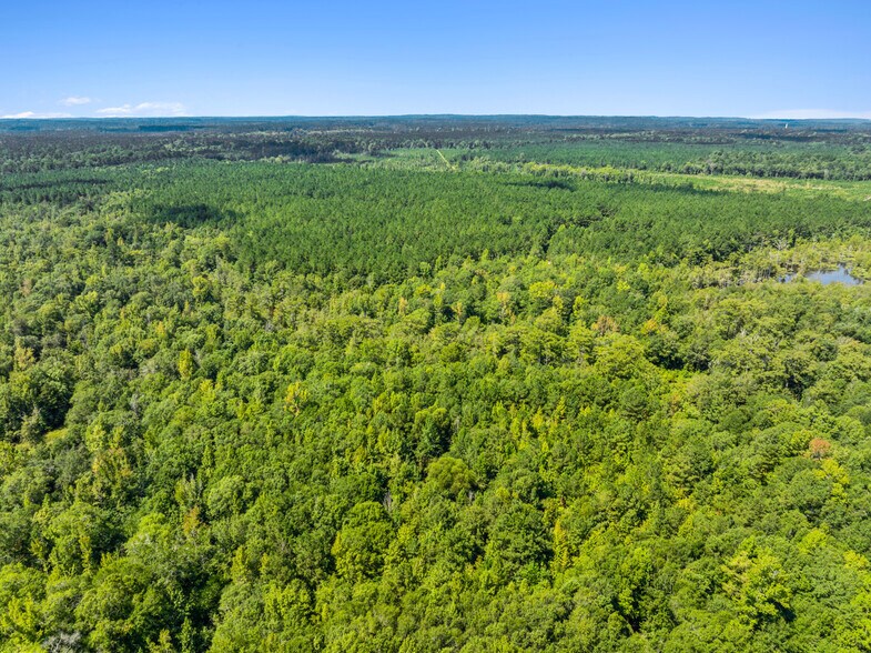 More Photos Of 7471 Highway 155, Saline Land For Sale