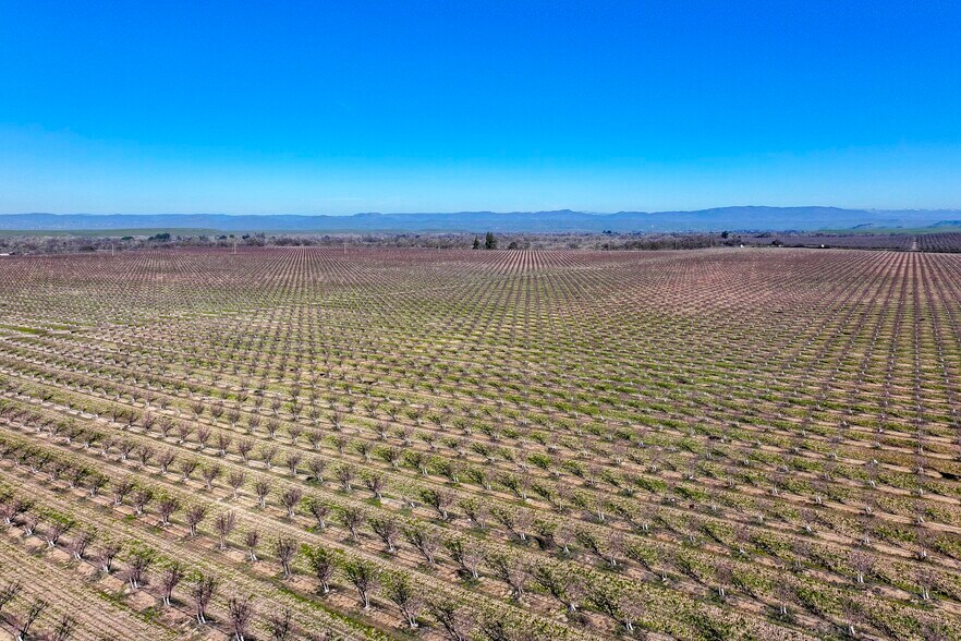 More Photos Of 15116 Allen rd, Snelling Land For Sale