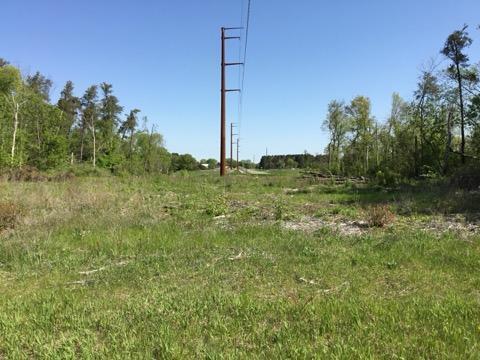 More Photos Of Xxx County Road 24 & 63rd Ave, Cannon Falls Land For Sale