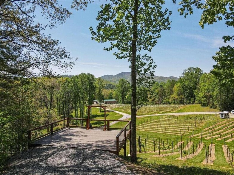More Photos Of 366 Paradise Rd, Blairsville Winery Vineyard For Sale