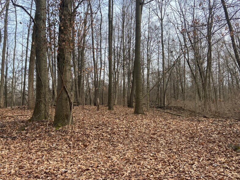 More Photos Of 1365 W Stones Crossing Rd, Greenwood Land For Sale