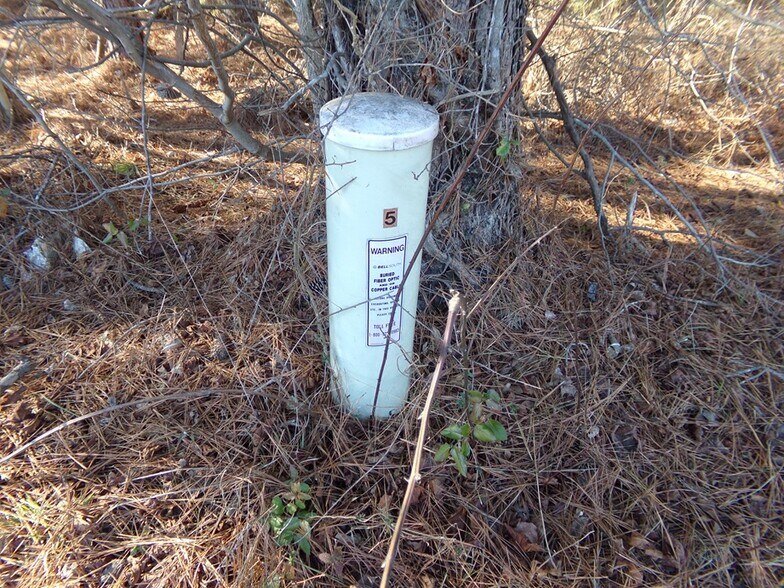 More Photos Of 41 ACRES Hwy 55 Hwy, Clover Land For Sale