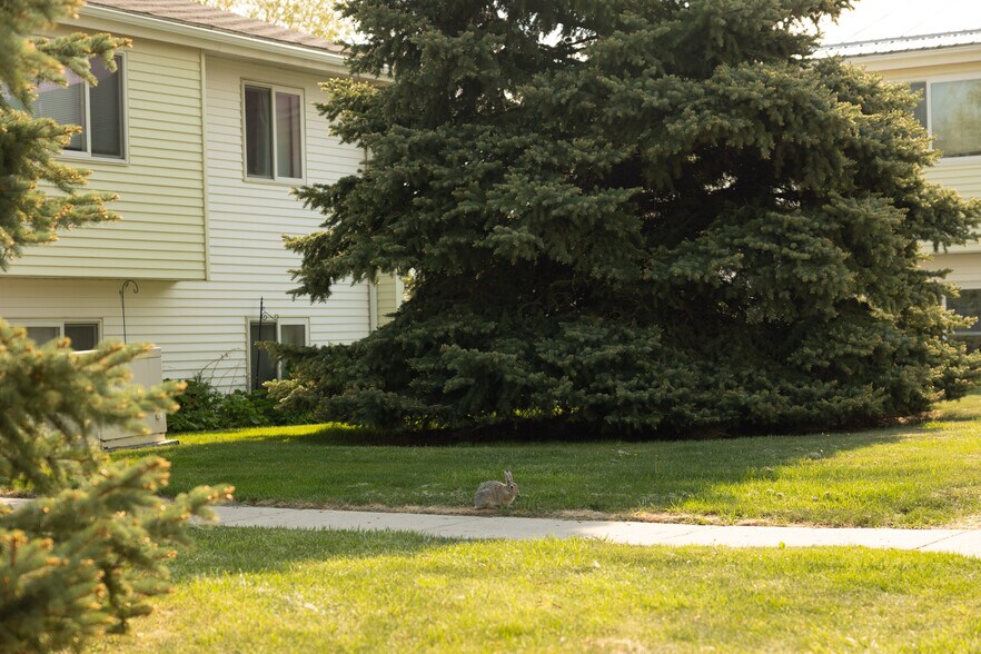 More Photos Of 1000 4th Ave SW, Conrad Apartments For Sale