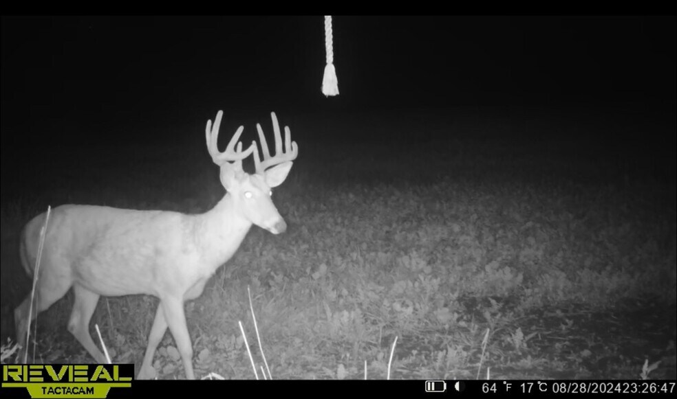 More Photos Of Fisher Road, Iola Land For Sale