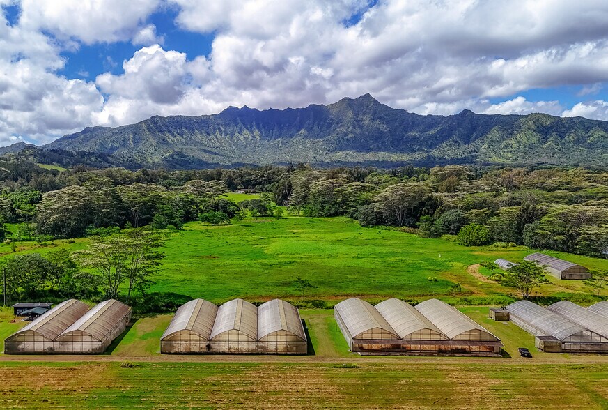 More Photos Of 5545 Kahiliholo Rd, Kilauea Land For Sale