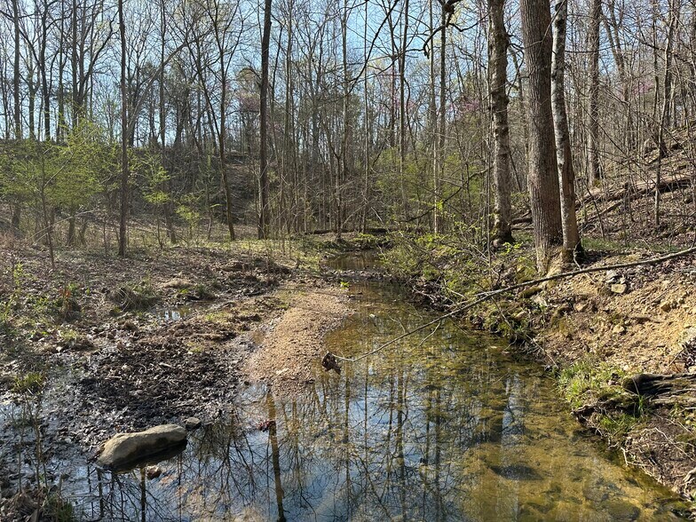 More Photos Of 7312 Highway 60, Georgetown Land For Sale