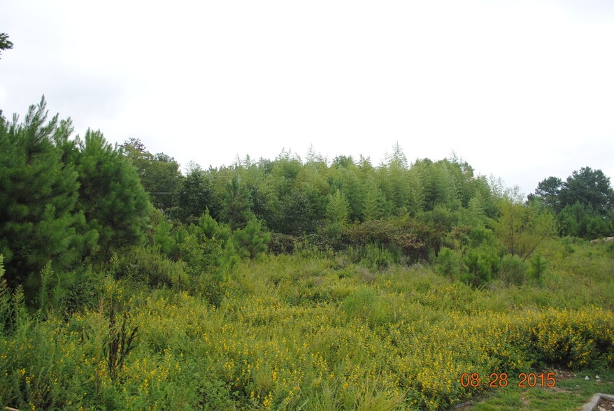 More Photos Of 13180 Veterans Memorial Hwy, Douglasville Land For Sale