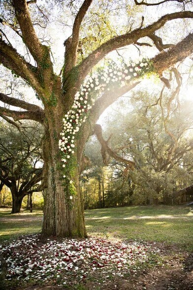 More Photos Of 3054 Highway 24 W, Summit Lodge Meeting Hall For Sale