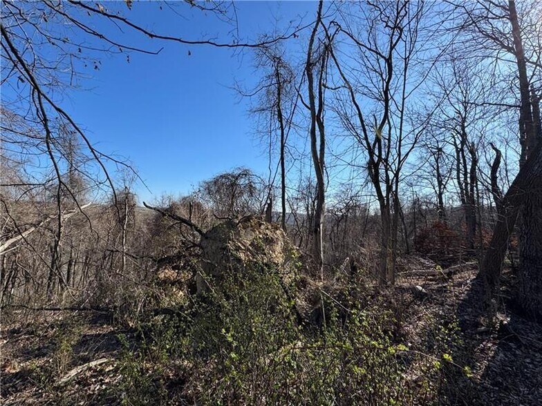 More Photos Of 0 Fallen Timber rd, Avella Land For Sale