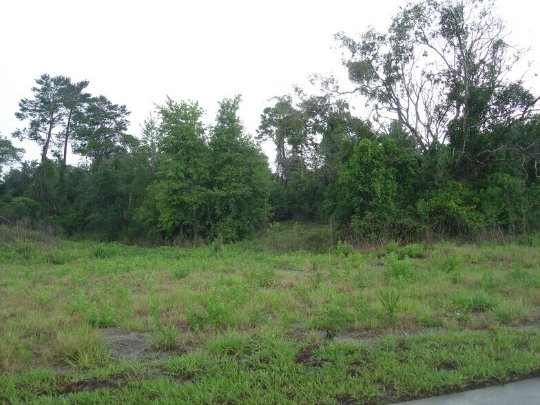 More Photos Of Howland Blvd & Wolfpack Run, Deltona Land For Sale