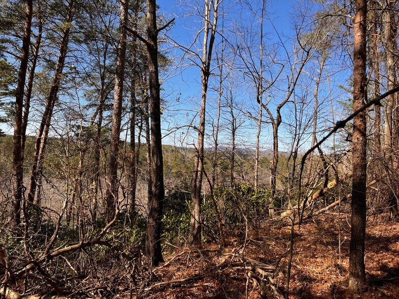 More Photos Of 6390 Lula Road, Lula Land For Sale