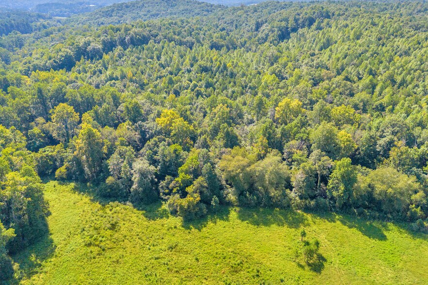 More Photos Of 8 Fornoff Dr, Toccoa Land For Sale