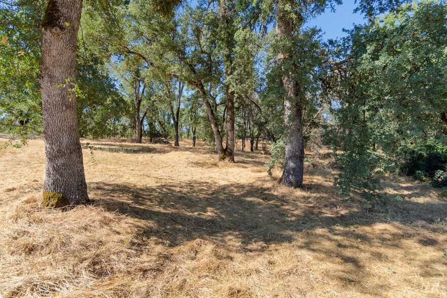 More Photos Of Shenandoah Road @ Fiddletown Road, Plymouth Land For Sale