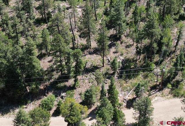 Primary Photo Of 48 Ponderosa Trl, Durango Land For Sale