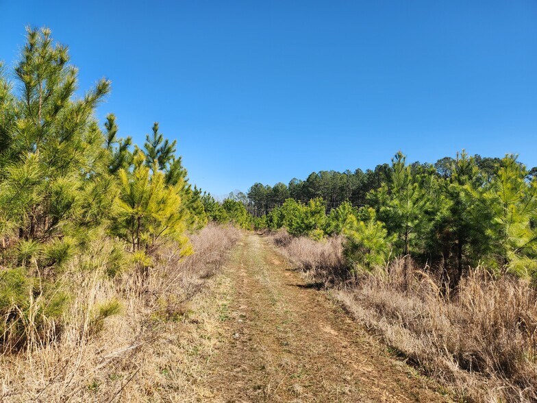 More Photos Of 3004 U.S. 401 Hwy, Louisburg Land For Sale
