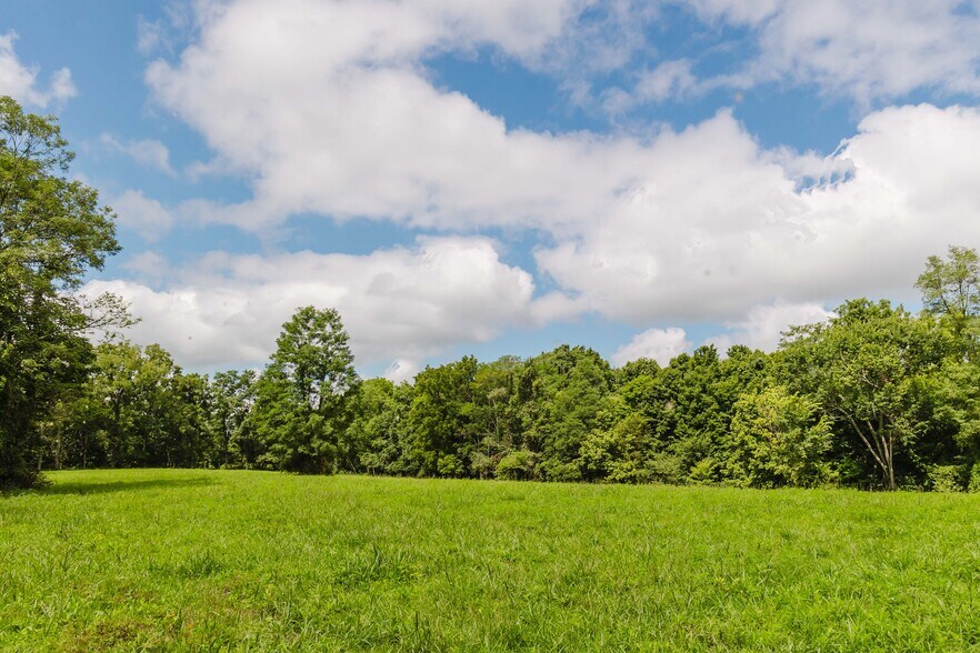 More Photos Of 7438 Bagdad Rd, Bagdad Land For Sale