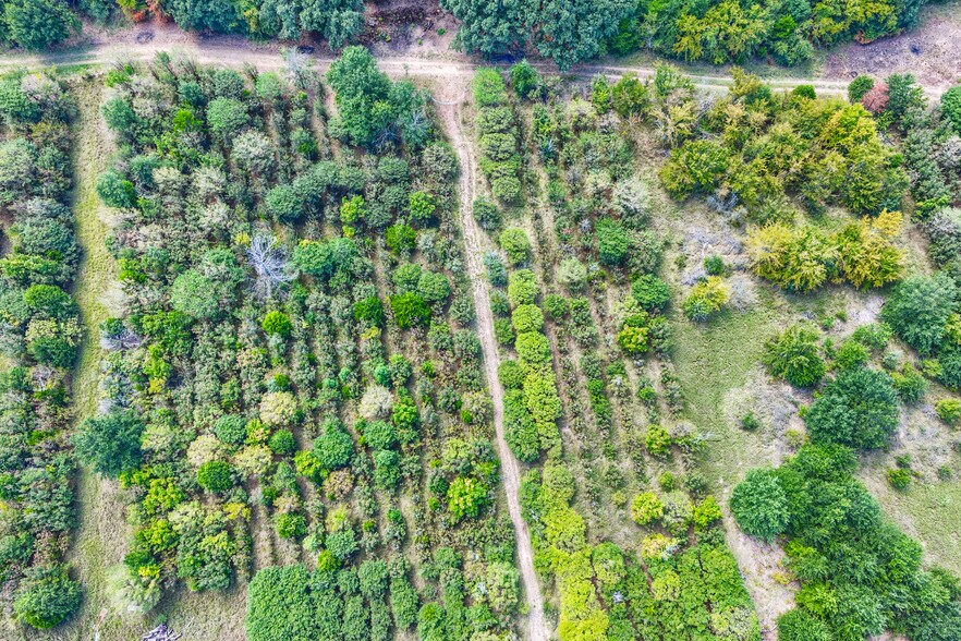 More Photos Of 12960 County Road 4006, Mabank Land For Sale