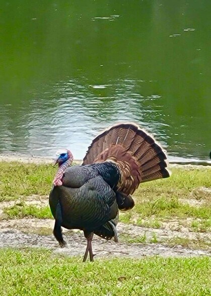 More Photos Of 15400 S US Highway 301, Summerfield Office For Sale