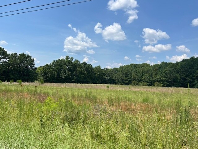 More Photos Of 711 Longtown Rd, Columbia Land For Sale