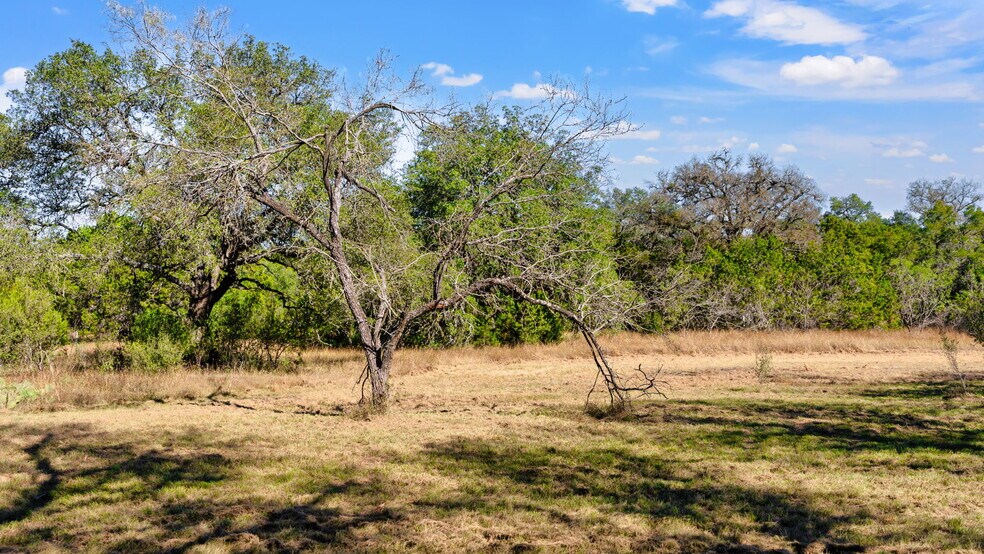 More Photos Of 25711 Hamilton Pool Rd, Round Mountain Specialty For Sale