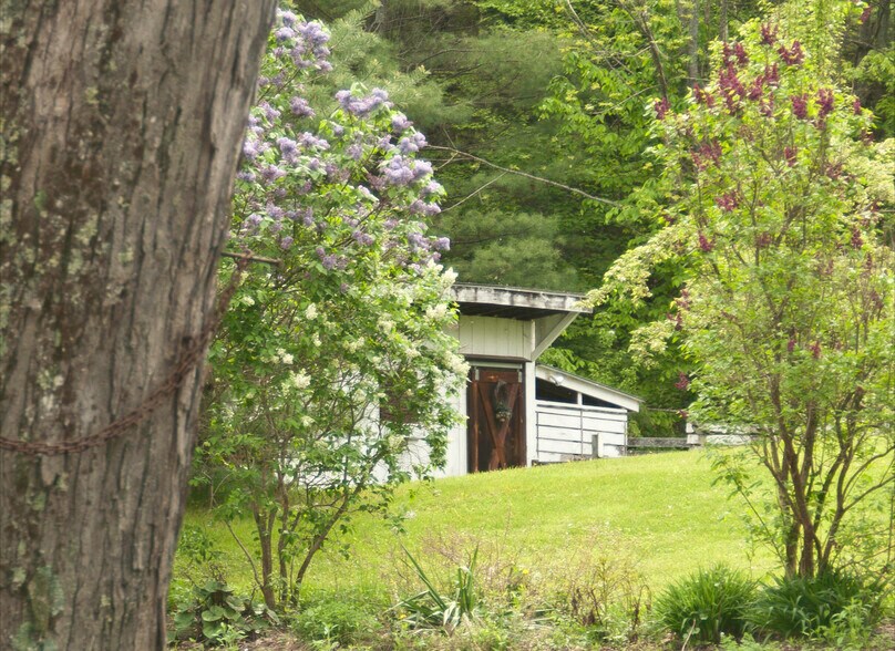 More Photos Of 399 Depot St, Proctorsville Hospitality For Sale