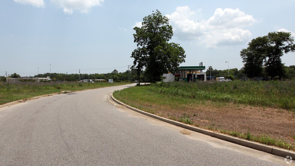 More Photos Of 5660 Sermon Rd, Theodore Land For Sale