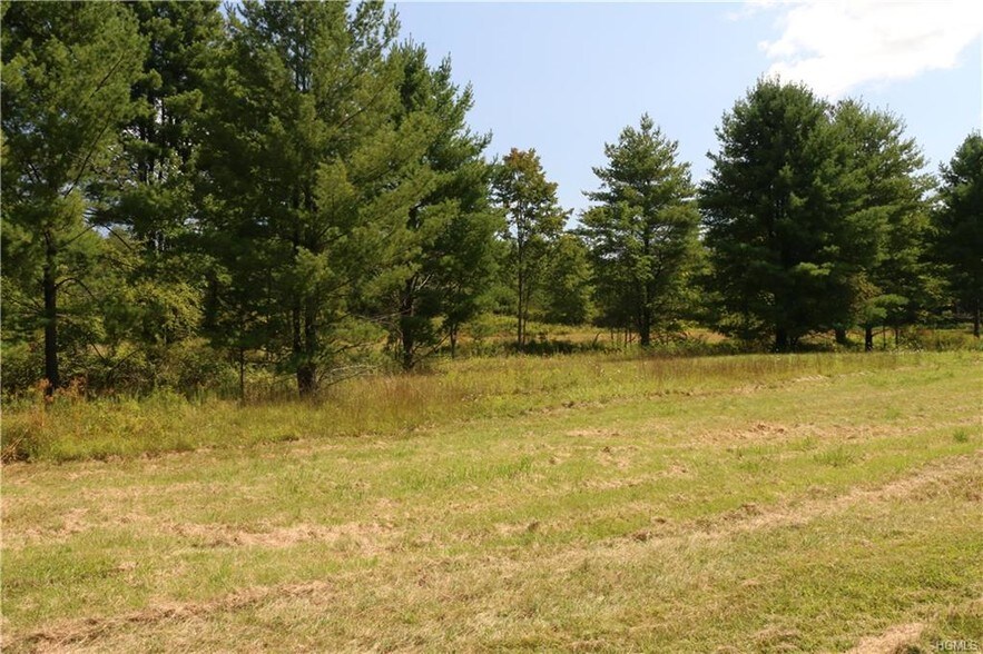 More Photos Of 269 Stone Schoolhouse Rd, Bloomingburg Land For Lease