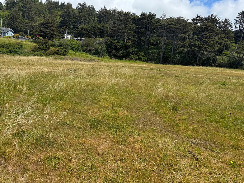 More Photos Of 29095 Ellensburg Ave, Gold Beach Land For Sale